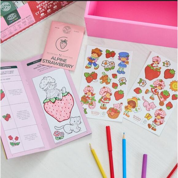 Strawberry Shortcake Decorate and Grow Kit - Picture 4 of 5